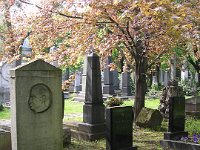 02-13 Virág Benedek